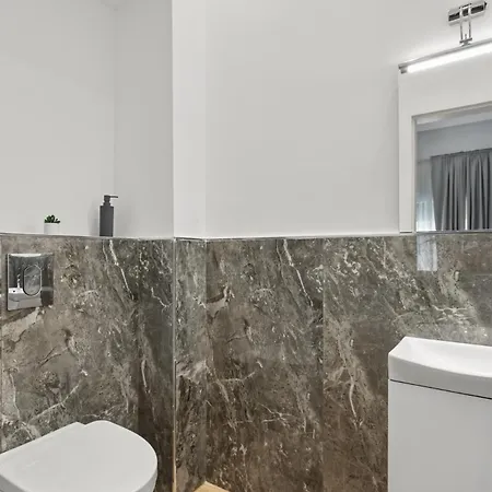 Apartment Victoriei Luxury