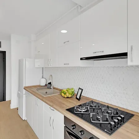 Victoriei Luxury Apartment